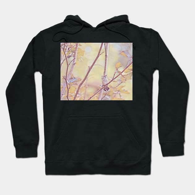 Hummingbird Peaceful No.1 Hoodie by MaryLinH